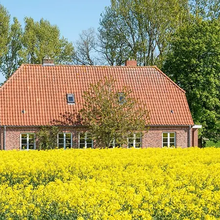 Apartment Am Hut *